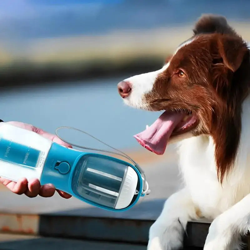 3-in-1 Pet Water Bottle – Feeder, Dispenser & Waste Bag Holder